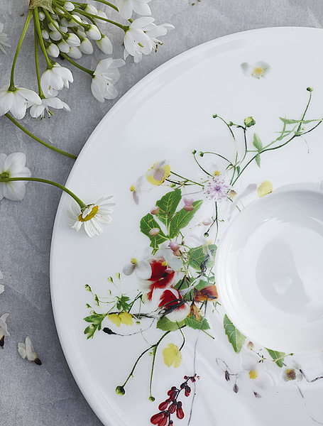 Коллекция Brillance Fleurs Sauvages от Rosenthal