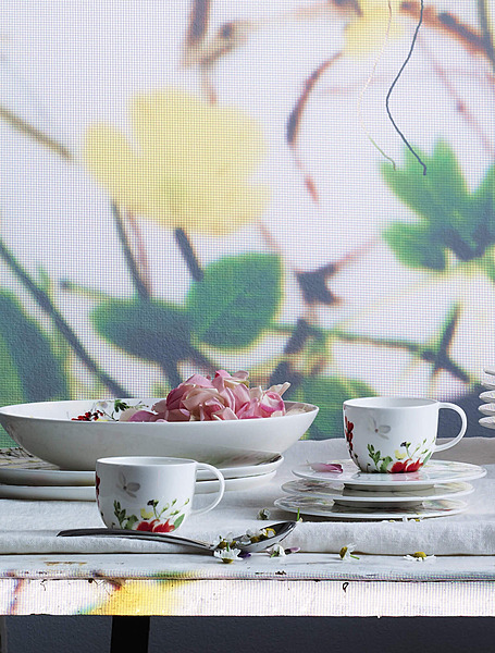 Коллекция Brillance Fleurs Sauvages от Rosenthal